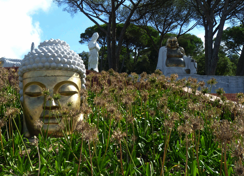 Buddha Eden